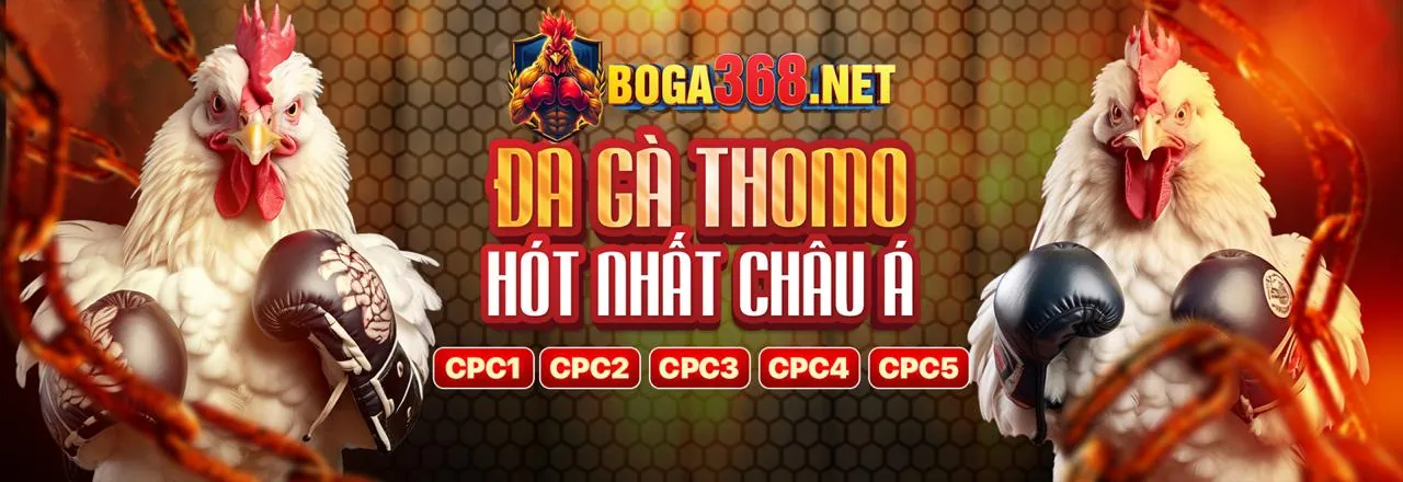 Phần thưởng đăng ký ranvip hấp dẫn